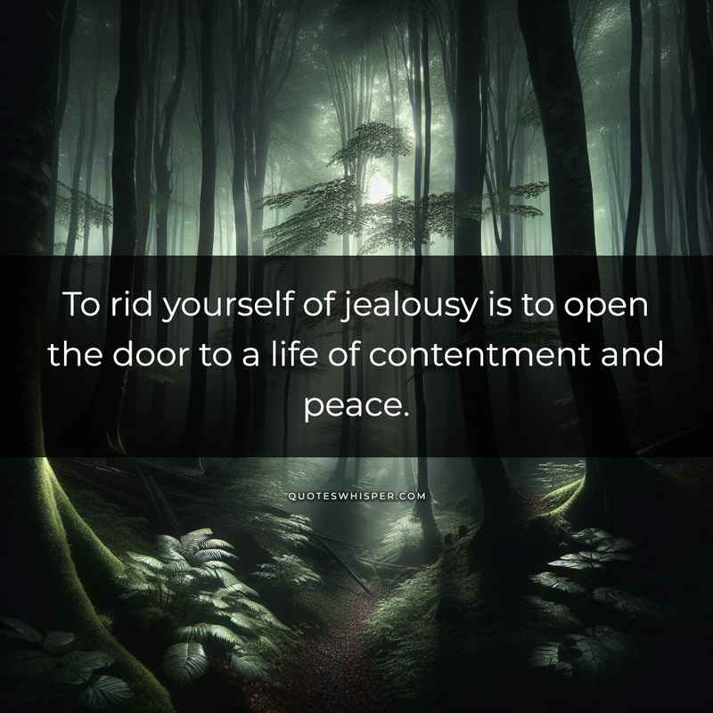To rid yourself of jealousy is to open the door to a life of contentment and peace.
