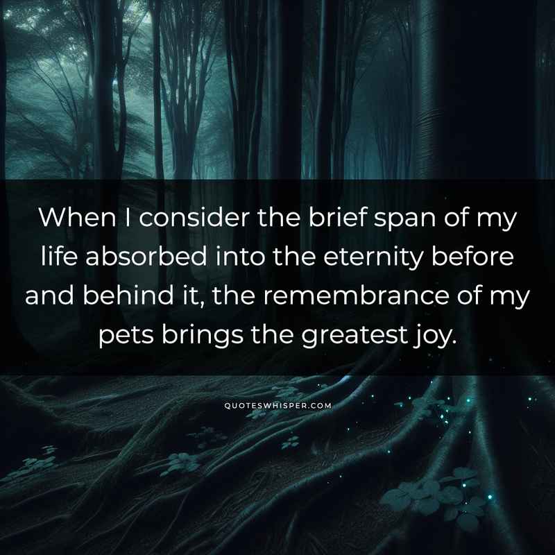 When I consider the brief span of my life absorbed into the eternity before and behind it, the remembrance of my pets brings the greatest joy.