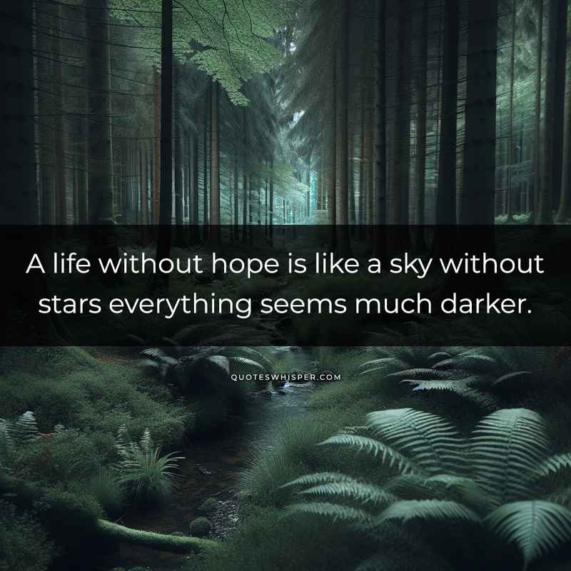 A life without hope is like a sky without stars everything seems much darker.