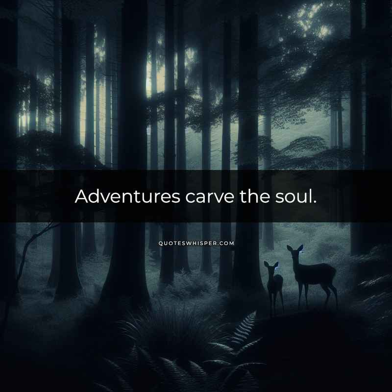 Adventures carve the soul.