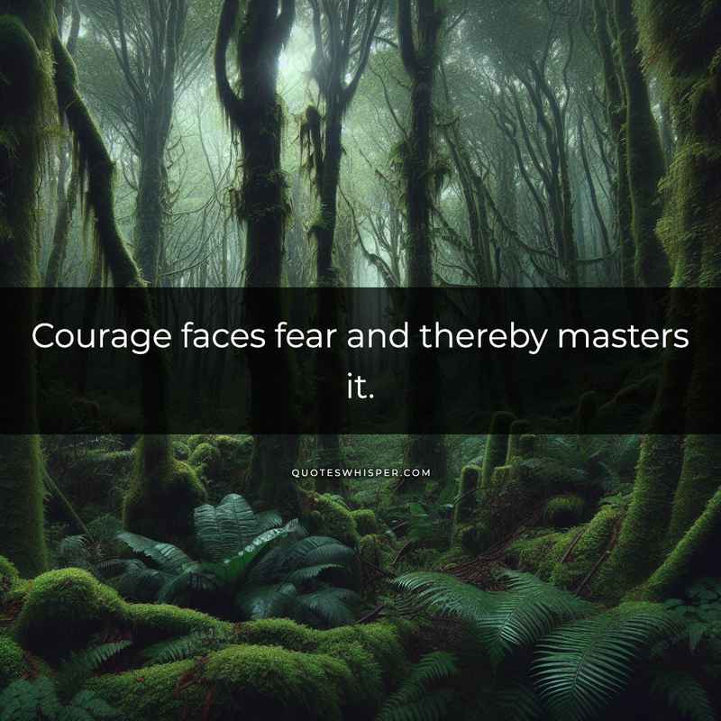Courage faces fear and thereby masters it.