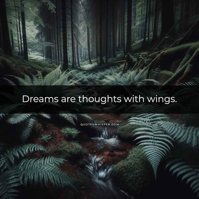 Dreams are thoughts with wings.