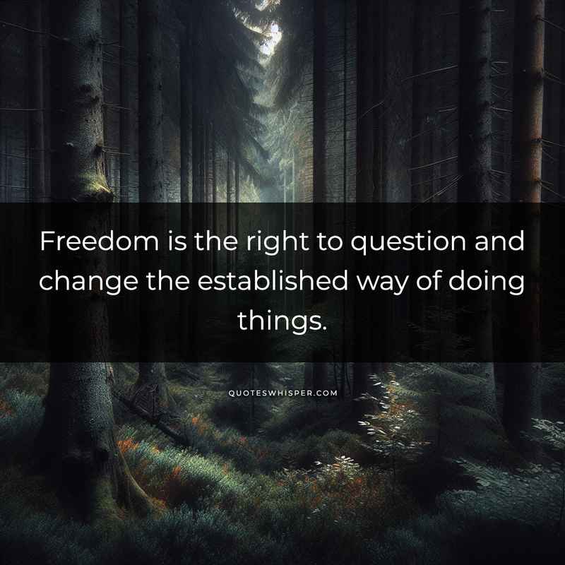 Freedom is the right to question and change the established way of doing things.