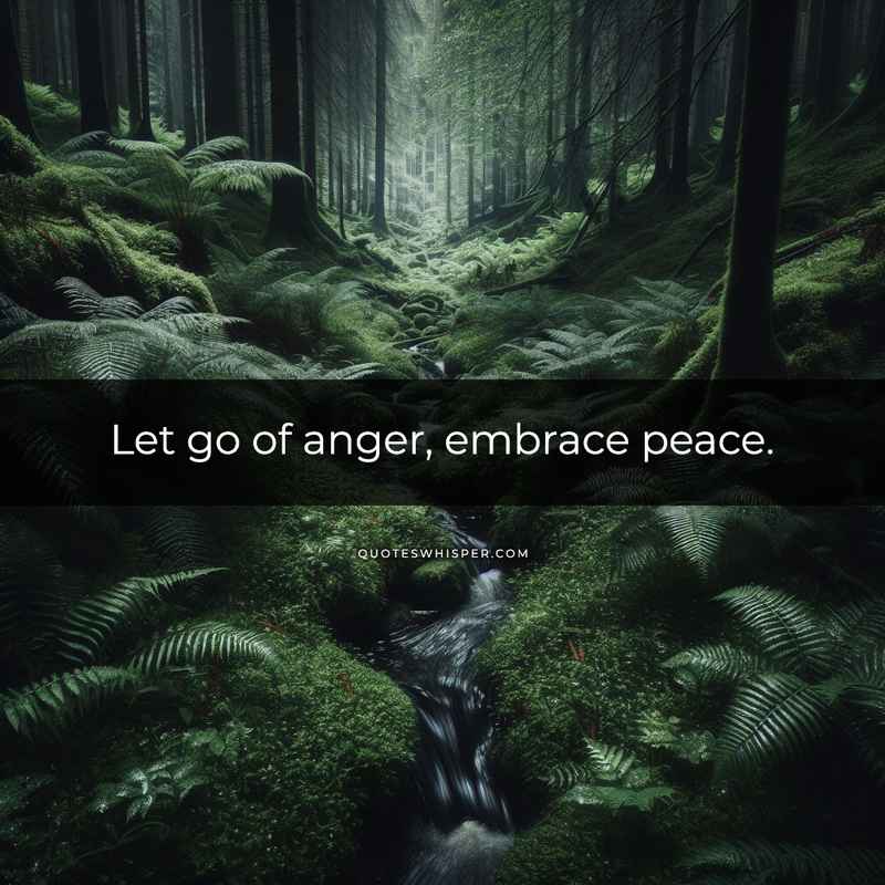 Let go of anger, embrace peace.