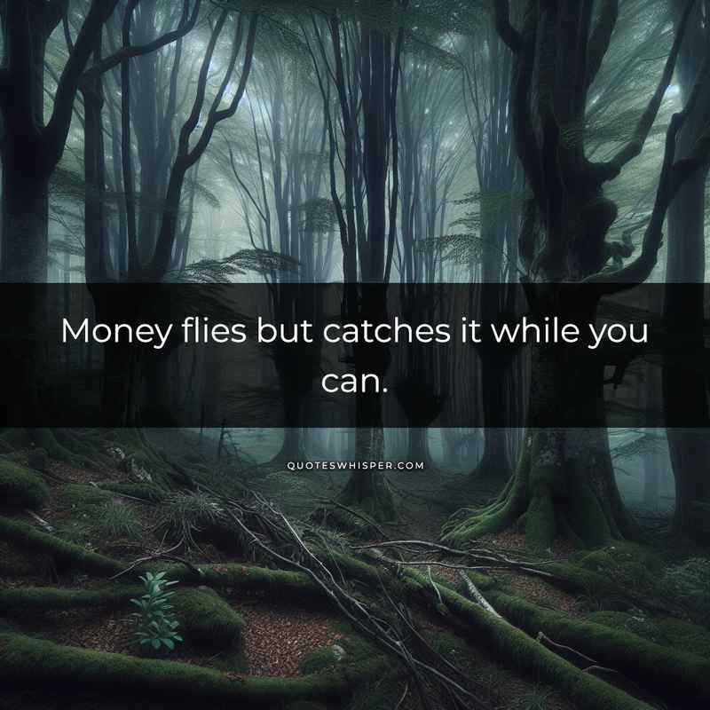 Money flies but catches it while you can.