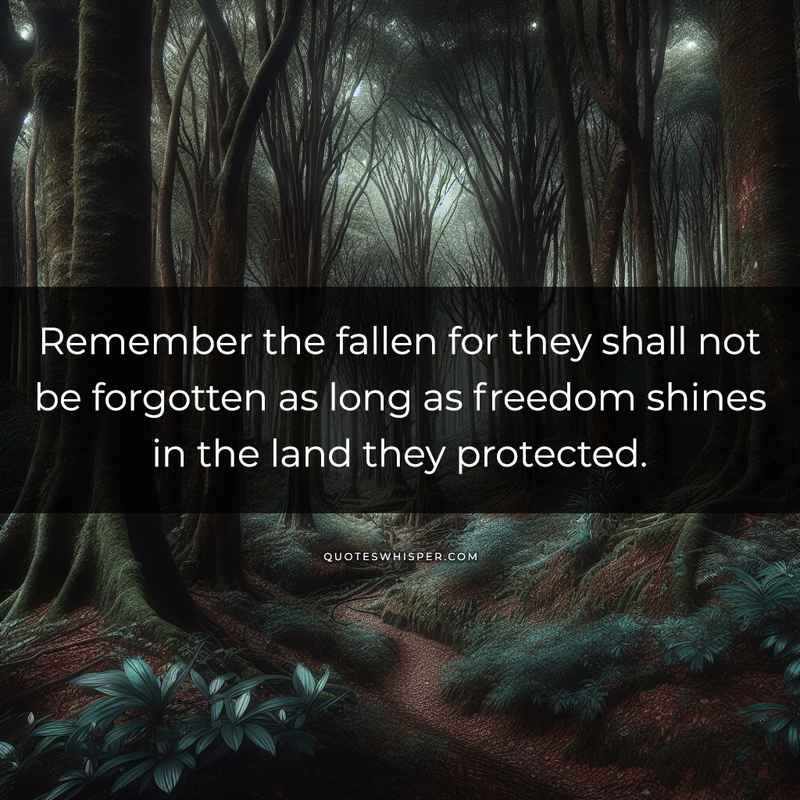Remember the fallen for they shall not be forgotten as long as freedom shines in the land they protected.