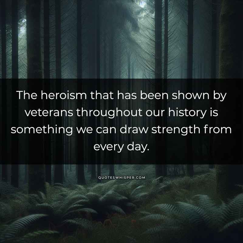 The heroism that has been shown by veterans throughout our history is something we can draw strength from every day.