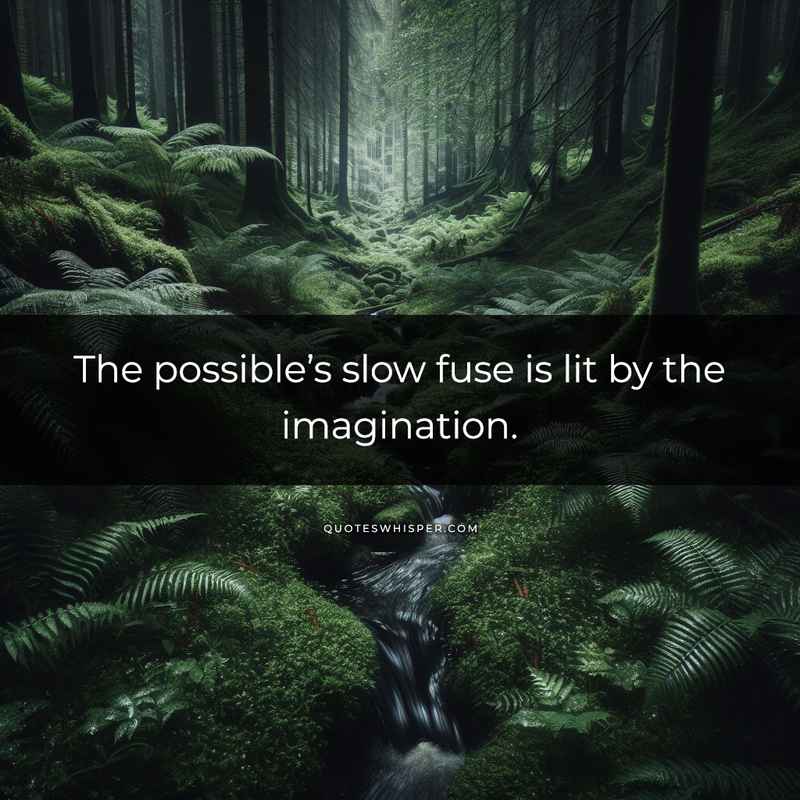 The possible’s slow fuse is lit by the imagination.