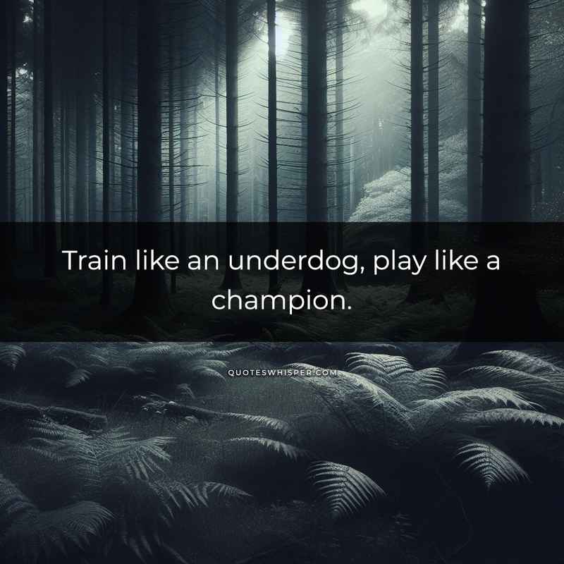 Train like an underdog, play like a champion.