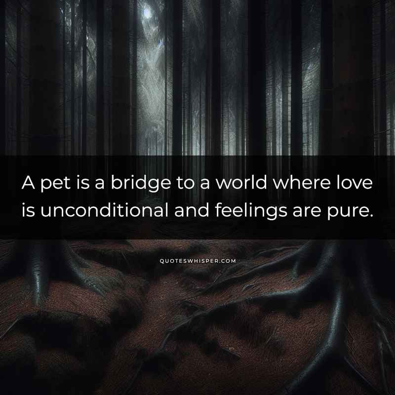A pet is a bridge to a world where love is unconditional and feelings are pure.