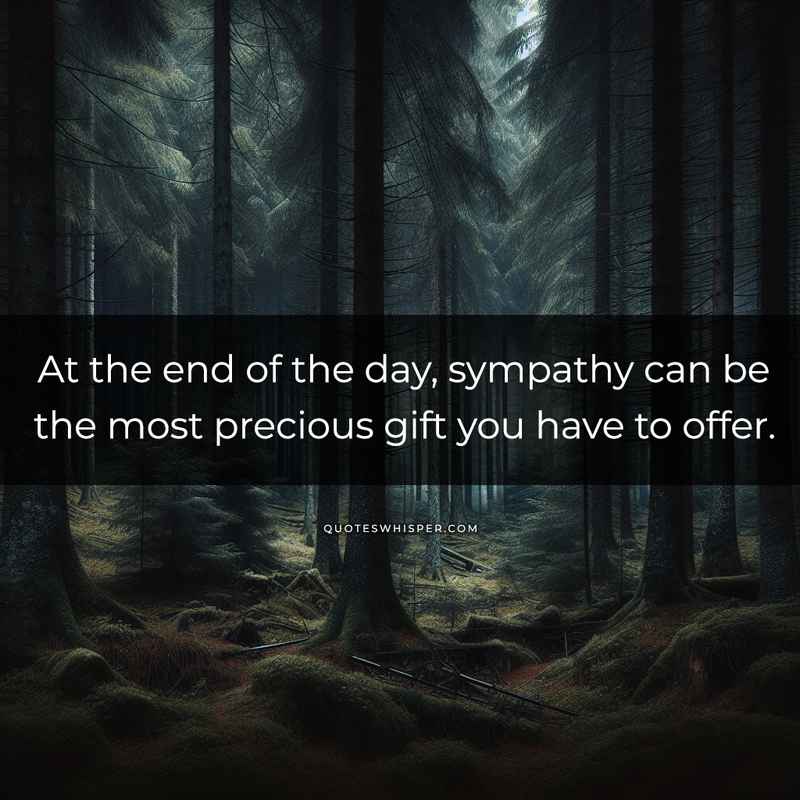 At the end of the day, sympathy can be the most precious gift you have to offer.