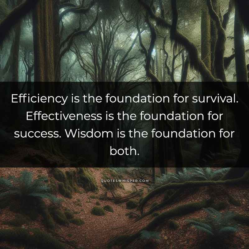 Efficiency is the foundation for survival. Effectiveness is the foundation for success. Wisdom is the foundation for both.