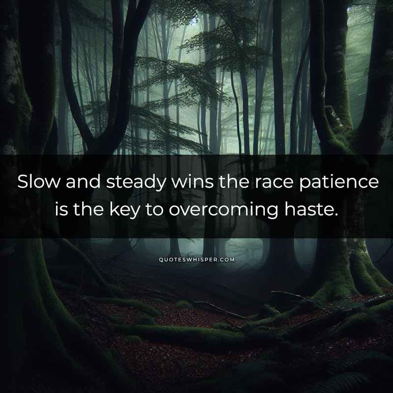 Slow and steady wins the race patience is the key to overcoming haste.