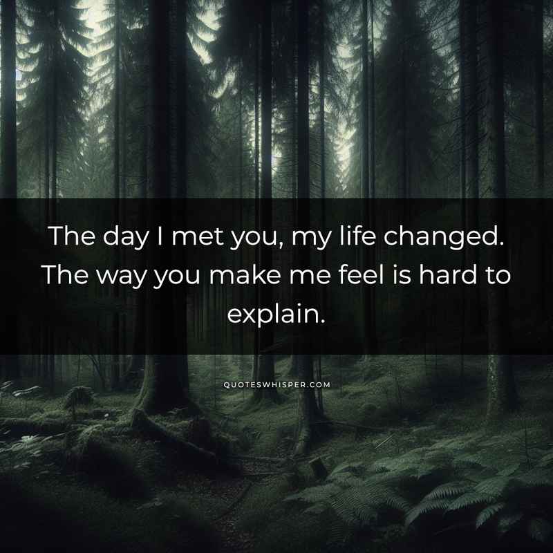 The day I met you, my life changed. The way you make me feel is hard to explain.