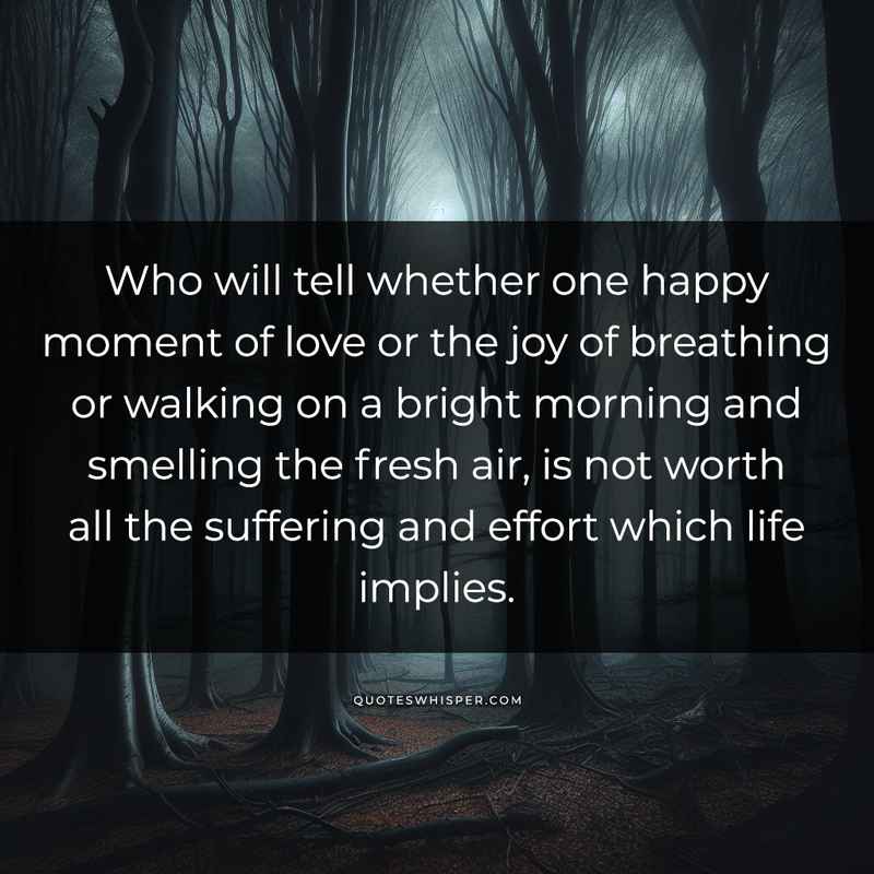 Who will tell whether one happy moment of love or the joy of breathing or walking on a bright morning and smelling the fresh air, is not worth all the suffering and effort which life implies.