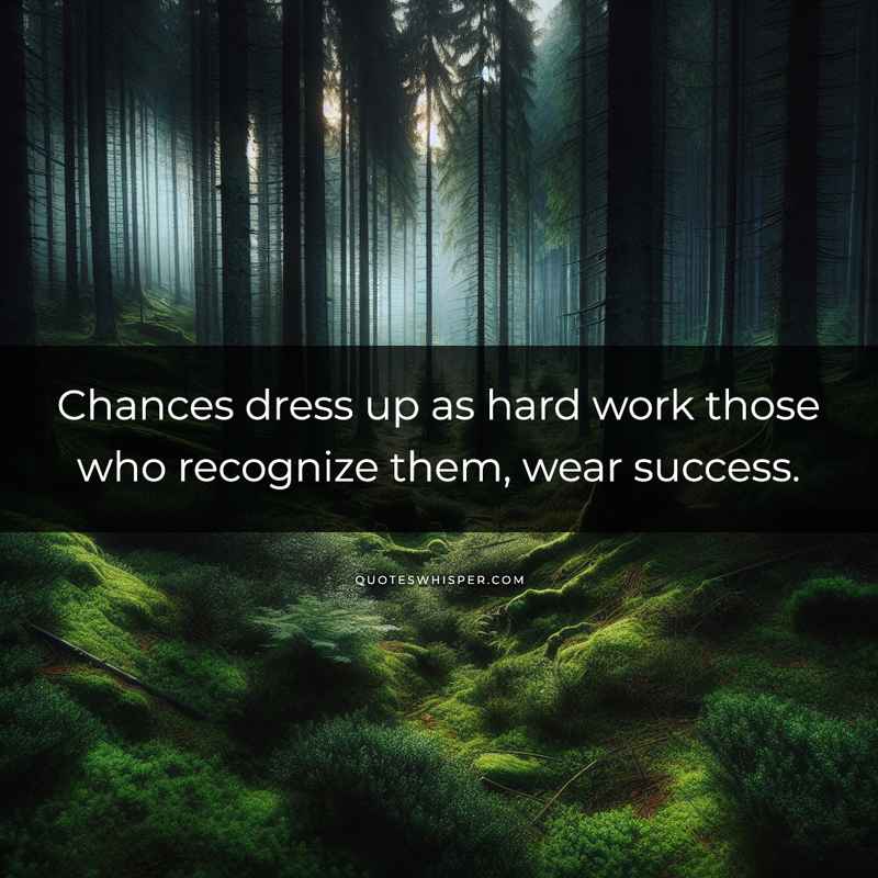 Chances dress up as hard work those who recognize them, wear success.