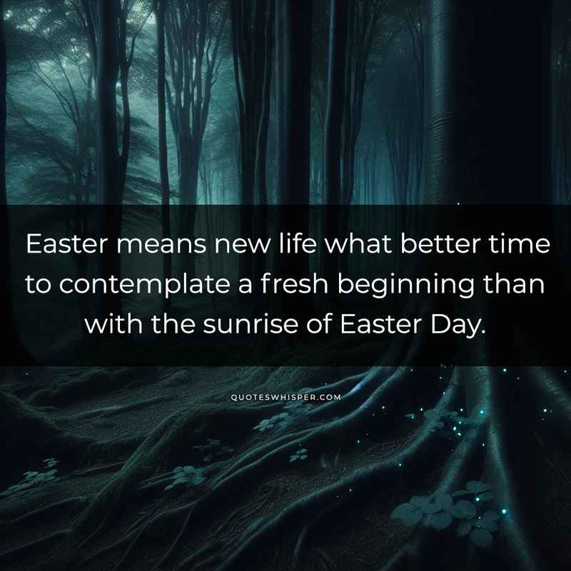 Easter means new life what better time to contemplate a fresh beginning than with the sunrise of Easter Day.
