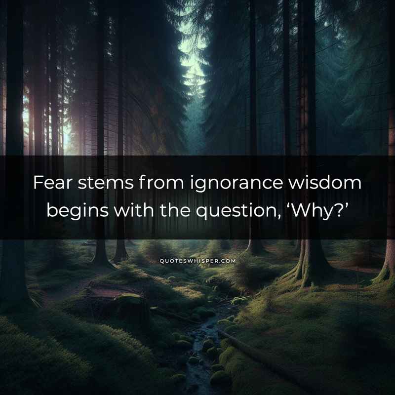 Fear stems from ignorance wisdom begins with the question, ‘Why?’