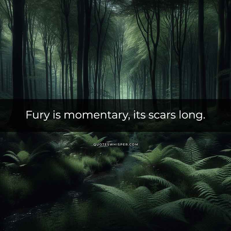 Fury is momentary, its scars long.