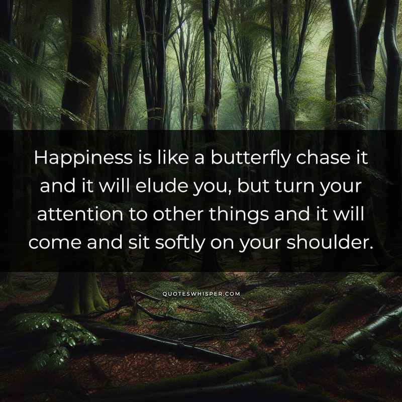 Happiness is like a butterfly chase it and it will elude you, but turn your attention to other things and it will come and sit softly on your shoulder.