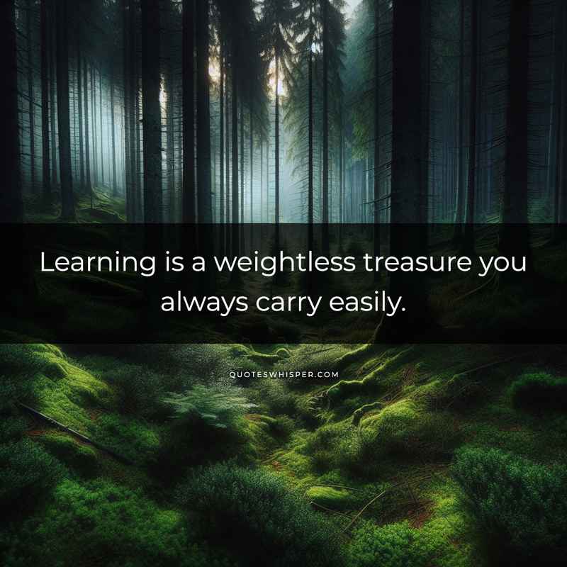 Learning is a weightless treasure you always carry easily.