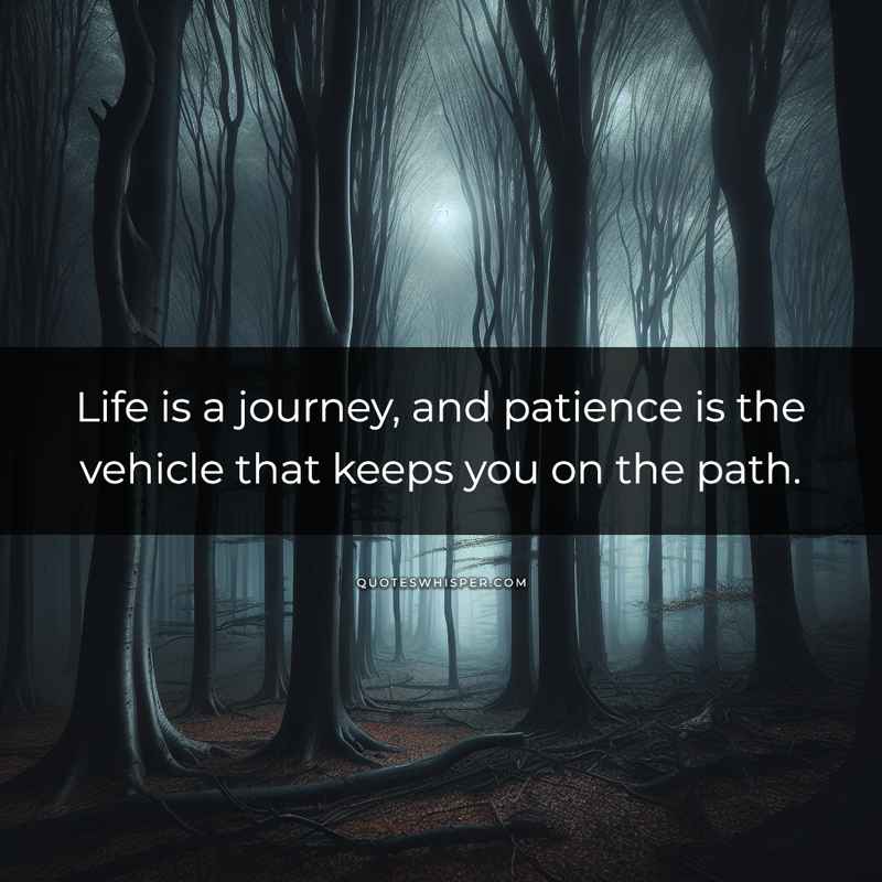 Life is a journey, and patience is the vehicle that keeps you on the path.