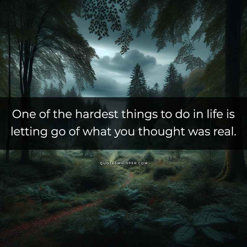 One of the hardest things to do in life is letting go of what you thought was real.