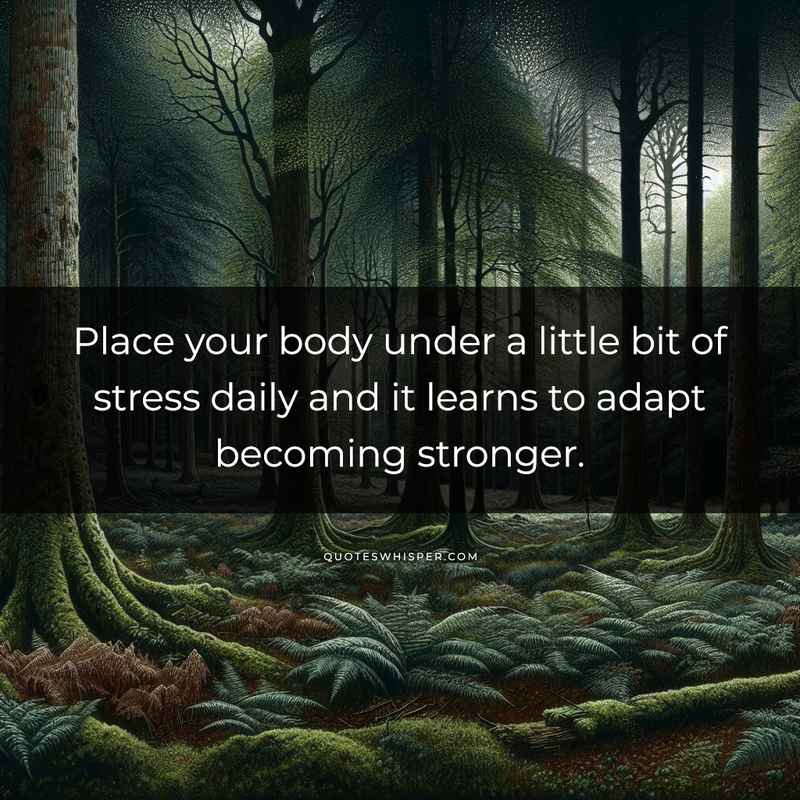 Place your body under a little bit of stress daily and it learns to adapt becoming stronger.