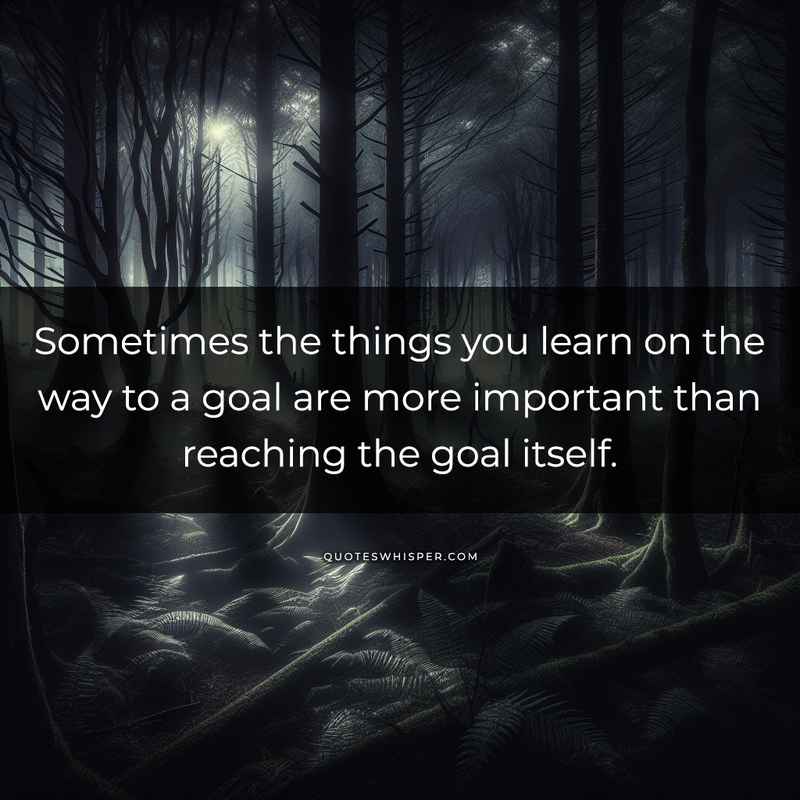 Sometimes the things you learn on the way to a goal are more important than reaching the goal itself.