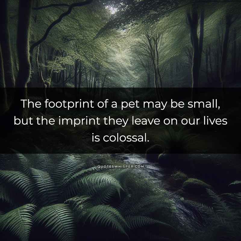 The footprint of a pet may be small, but the imprint they leave on our lives is colossal.