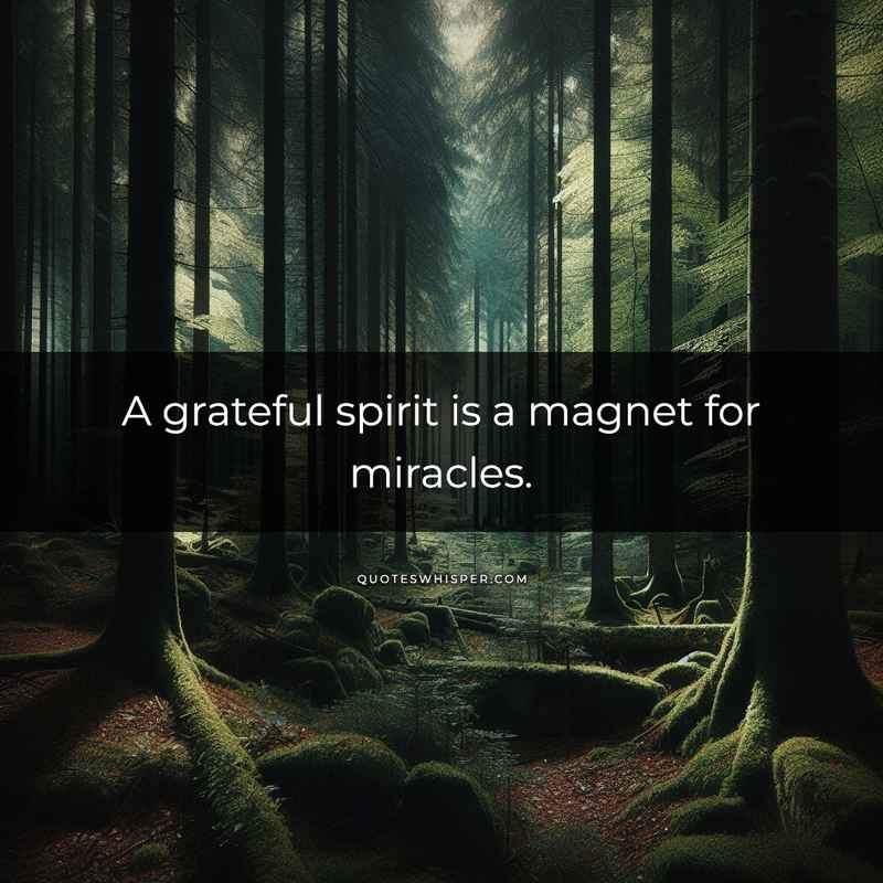 A grateful spirit is a magnet for miracles.