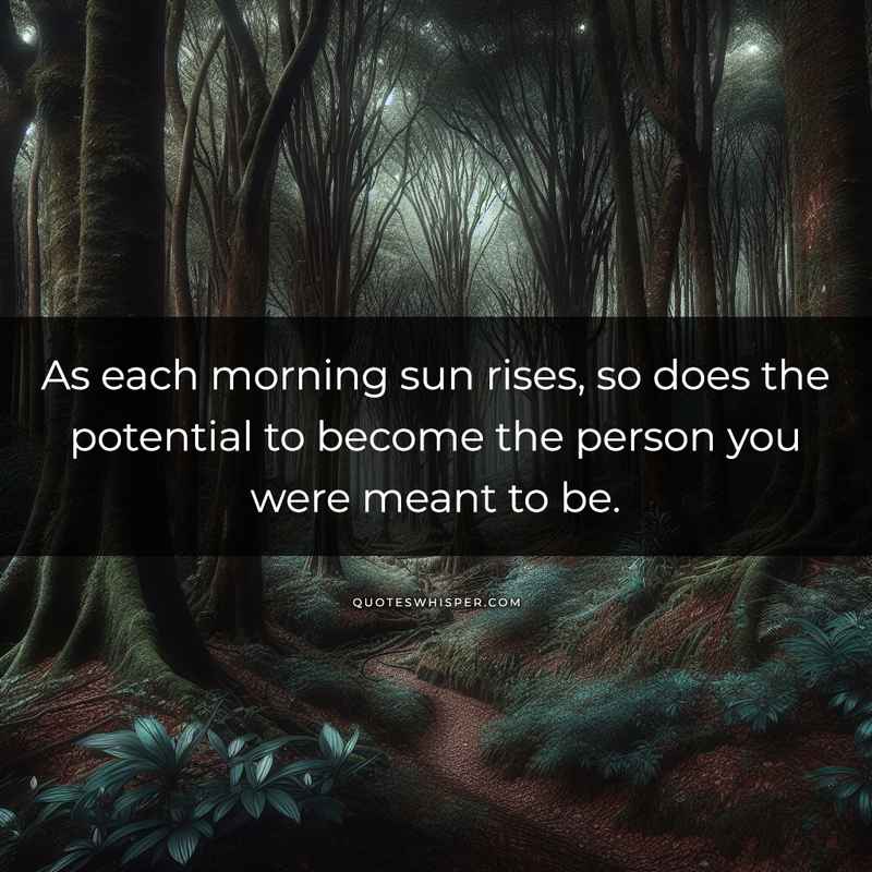 As each morning sun rises, so does the potential to become the person you were meant to be.