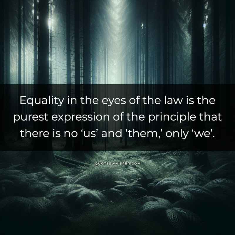 Equality in the eyes of the law is the purest expression of the principle that there is no ‘us’ and ‘them,’ only ‘we’.
