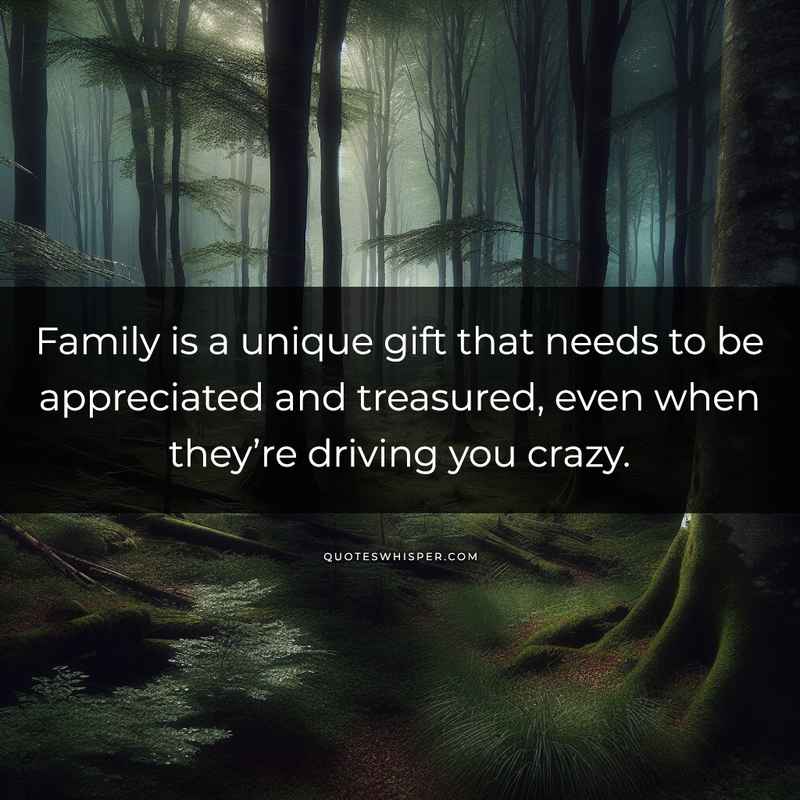 Family is a unique gift that needs to be appreciated and treasured, even when they’re driving you crazy.