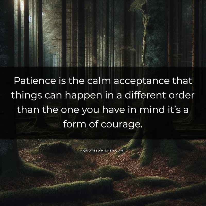 Patience is the calm acceptance that things can happen in a different order than the one you have in mind it’s a form of courage.