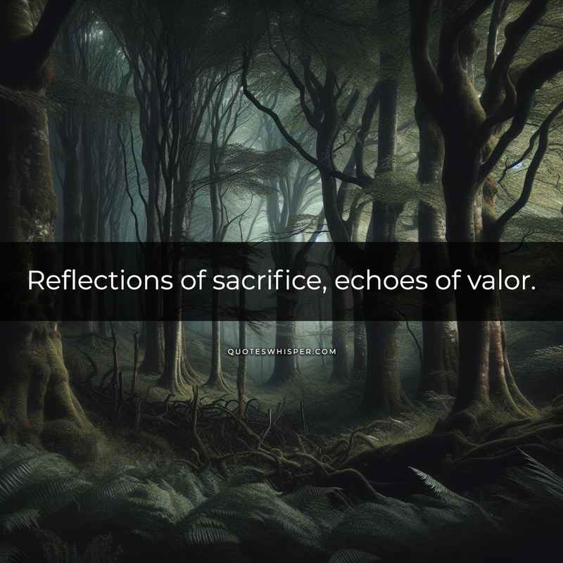 Reflections of sacrifice, echoes of valor.