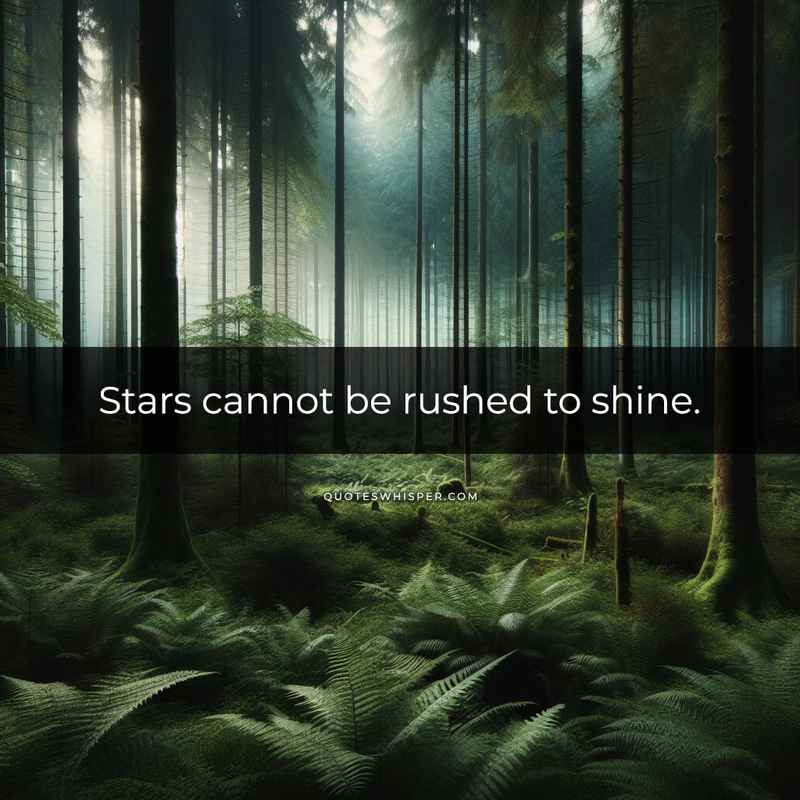 Stars cannot be rushed to shine.