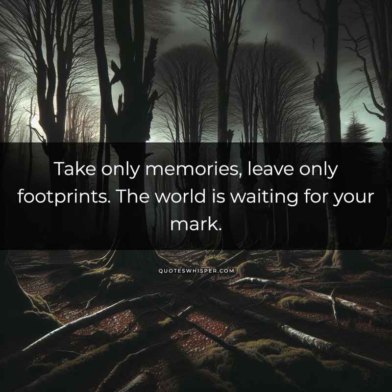 Take only memories, leave only footprints. The world is waiting for your mark.