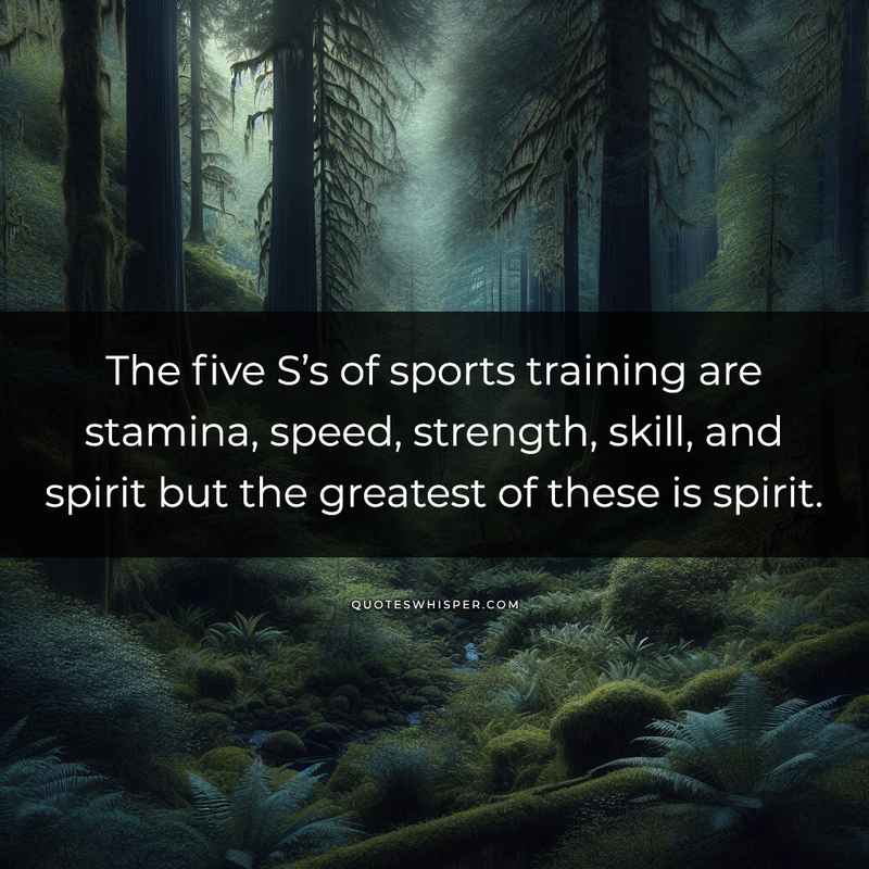 The five S’s of sports training are stamina, speed, strength, skill, and spirit but the greatest of these is spirit.