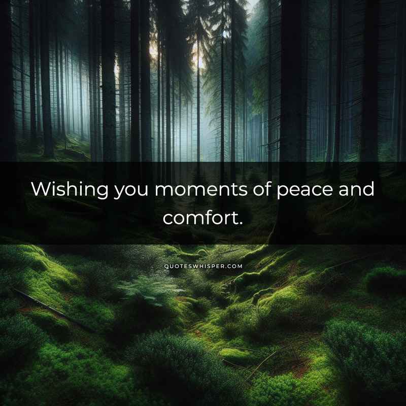 Wishing you moments of peace and comfort.