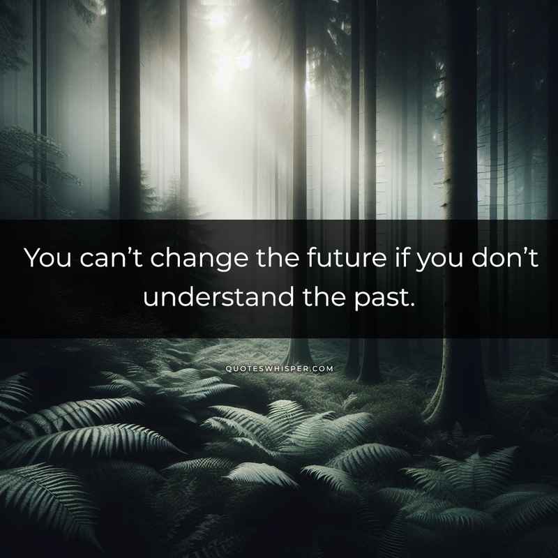You can’t change the future if you don’t understand the past.