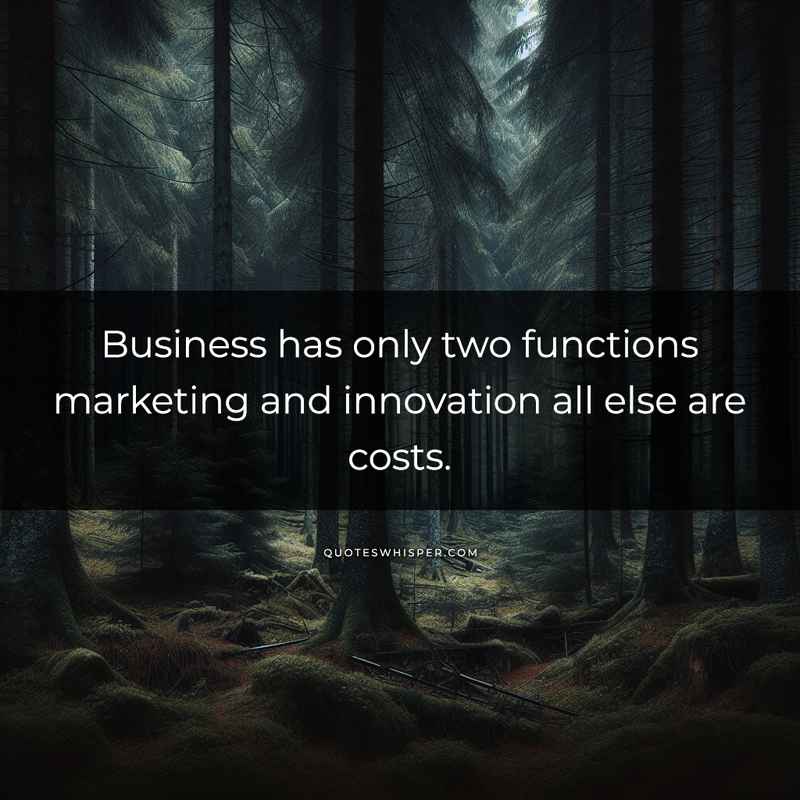 Business has only two functions marketing and innovation all else are costs.