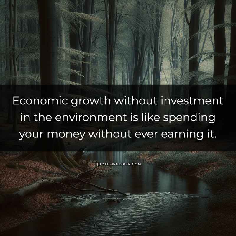 Economic growth without investment in the environment is like spending your money without ever earning it.