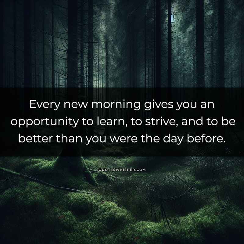 Every new morning gives you an opportunity to learn, to strive, and to be better than you were the day before.