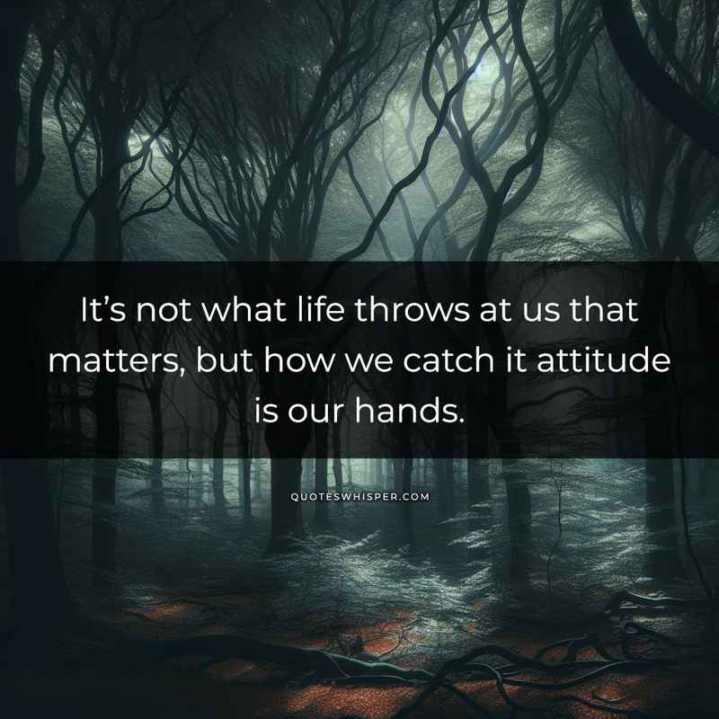 It’s not what life throws at us that matters, but how we catch it attitude is our hands.