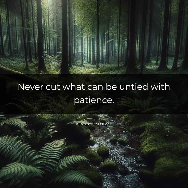 Never cut what can be untied with patience.