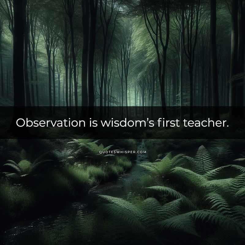 Observation is wisdom’s first teacher.