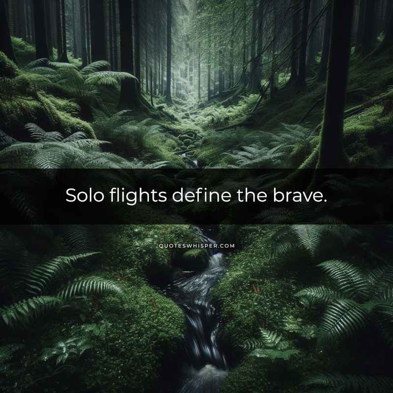 Solo flights define the brave.