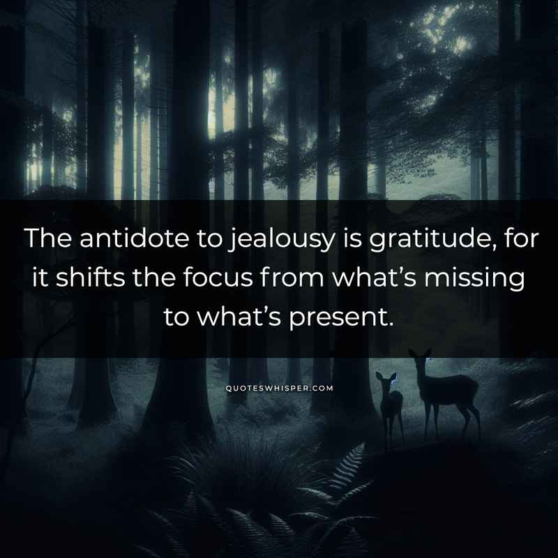 The antidote to jealousy is gratitude, for it shifts the focus from what’s missing to what’s present.
