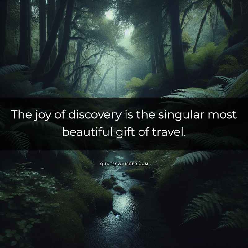 The joy of discovery is the singular most beautiful gift of travel.